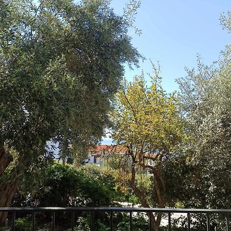 Greekowl Apartments Skiathos Town Ngoại thất bức ảnh