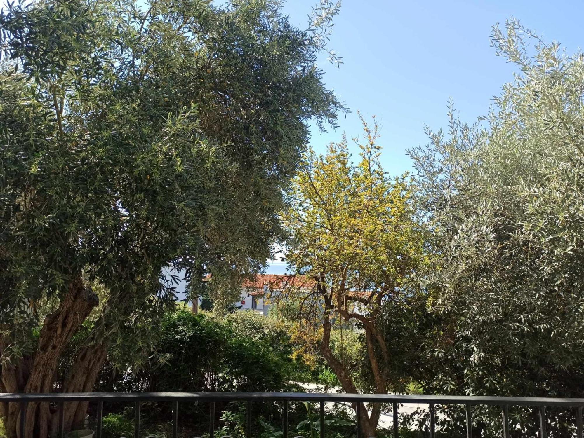 Greekowl Apartments Skiathos Town Ngoại thất bức ảnh