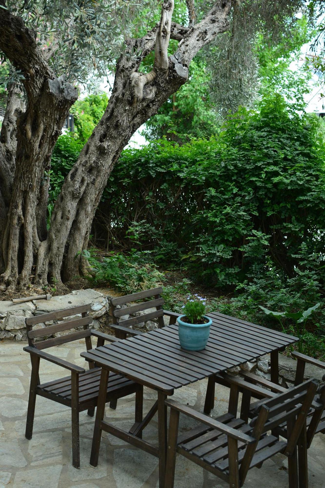 Greekowl Apartments Skiathos Town Ngoại thất bức ảnh