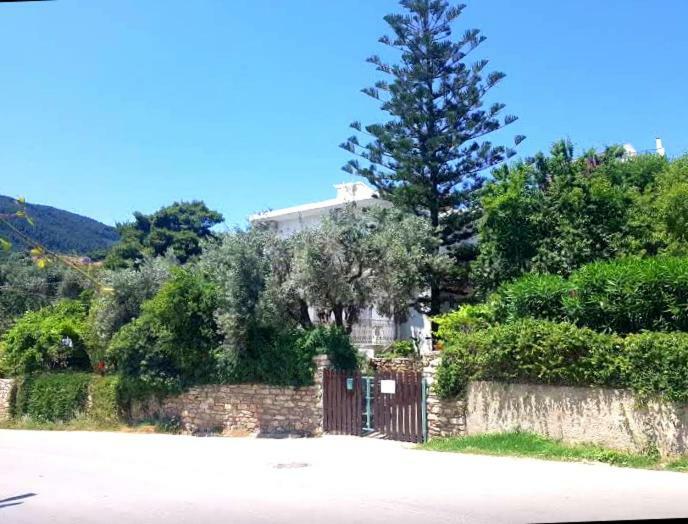 Greekowl Apartments Skiathos Town Phòng bức ảnh